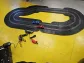 T005Plus 3.7meter starter track with 2 Subaru BRZ cars